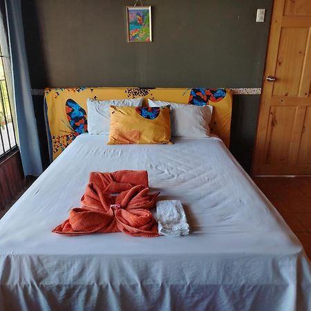 Sura House Corcovado Surinico Room With Ac Puerto Jimenez Bagian luar foto